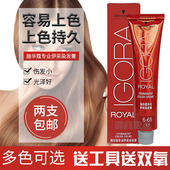 包邮 双氧 新 送原装 染发工 施华蔻专业伊采染发膏60ML 2支起
