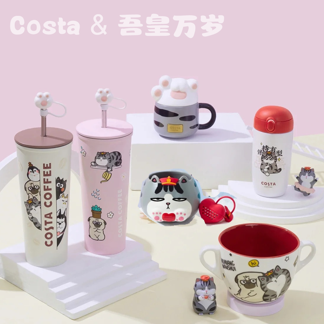 Costa皇万联名杯子不锈钢