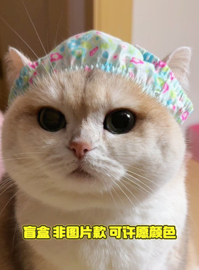 Mollywood猫来屋猫咪搞笑裤衩子胖次头套帽子松紧绳盲盒随机颜色