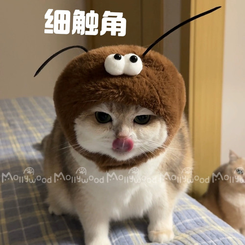 Mollywood猫来屋 蟑螂帽头套 猫咪变装帽 螂的诱惑 猫咪头套 毛绒