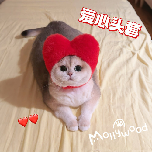 Mollywood 猫来屋 520七夕爱心头套 猫咪变装帽 猫咪头套毛绒