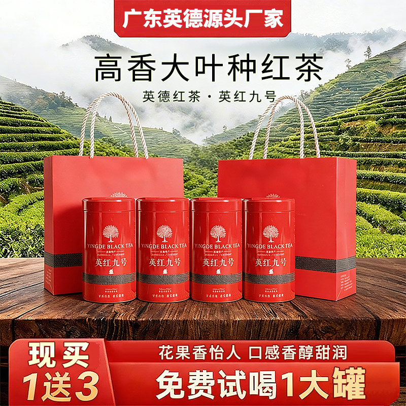 买一送三 英红九号春茶浓香型茶叶礼盒装正宗英德红茶官方旗舰店