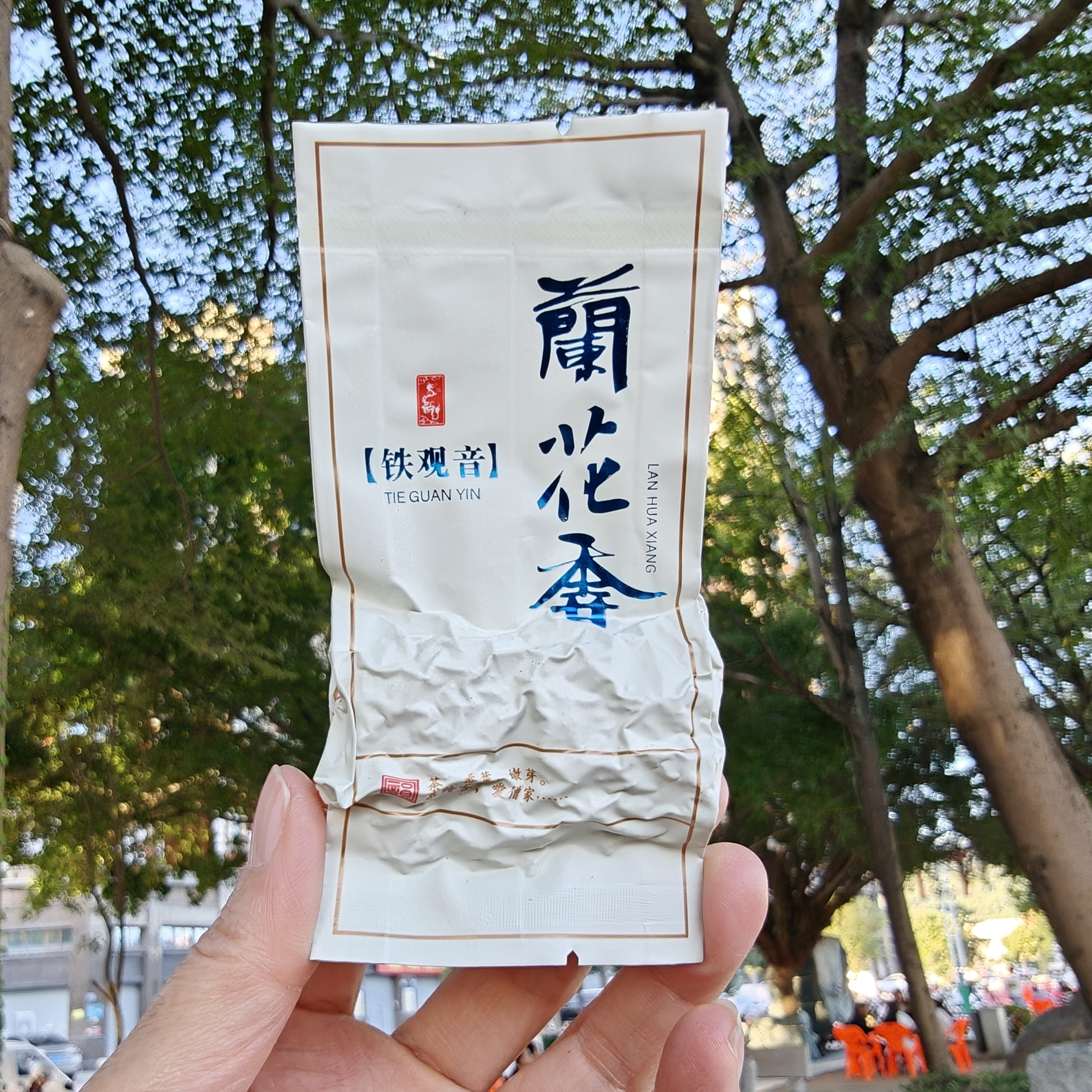 【粒粒香兰花香】铁观音浓香型私房茶散装2025新茶耐泡回甘好醇厚