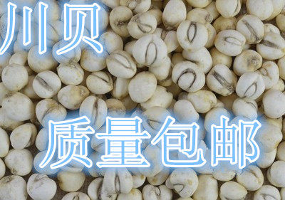 川贝母 平贝 500克可免费打粉 平贝母 川贝中药材2件包邮