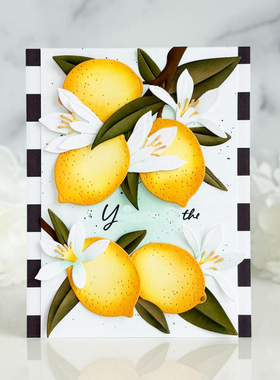 7736柠檬 切割模板DIY模具cutting die手账Scrapbook贺卡制作