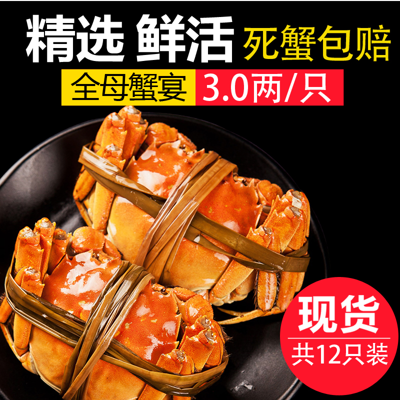買10送2現貨陽澄湖鮮活大閘蟹全母蟹特大螃蟹3.0兩12只禮盒裝包郵