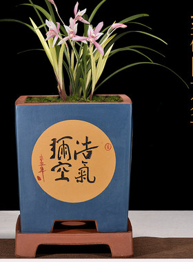 紫砂花盆花卉绿植四方陶瓷盆景盆