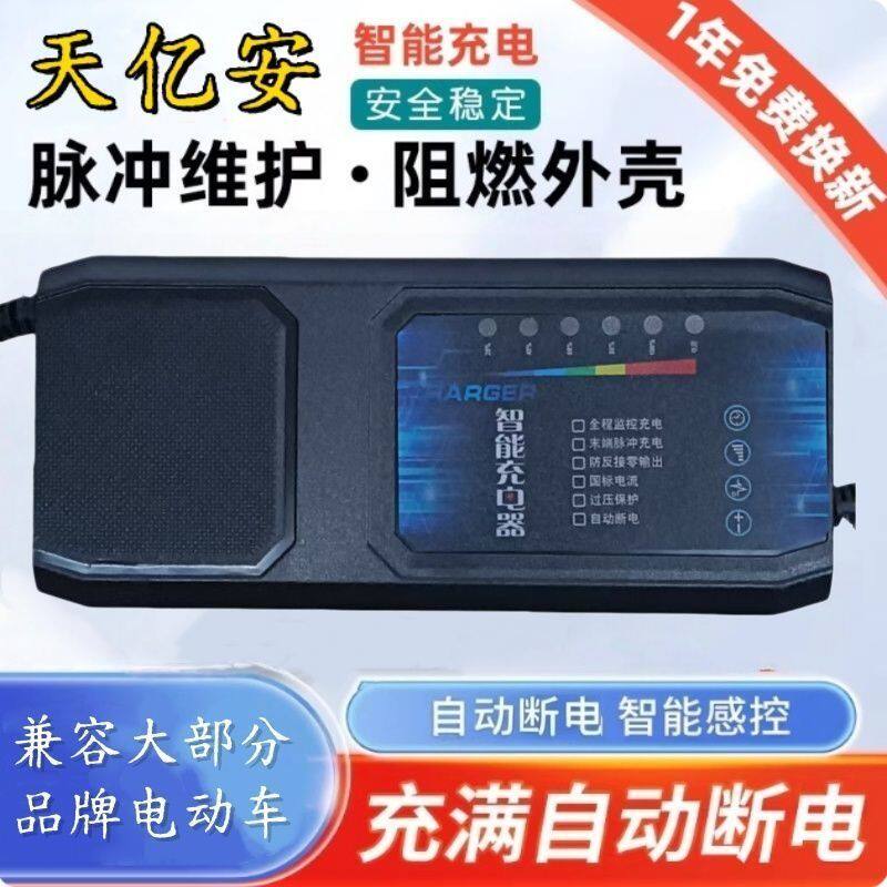 适用智能大功率电动电瓶车充电器60V45AH德文富士达新马本铃六灯