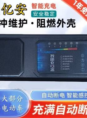 适用智能大功率电动电瓶车充电器60V45AH德文富士达新马本铃六灯