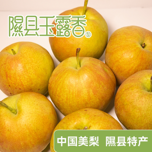 山西隰县玉露香梨水果新鲜当季整箱梨子新鲜水果小西天隰县发货