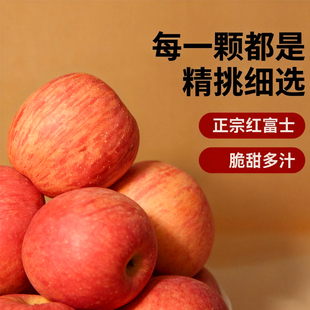 正宗山西隰县苹果10斤新鲜水果红富士当季 整箱礼盒冰糖心脆甜苹果