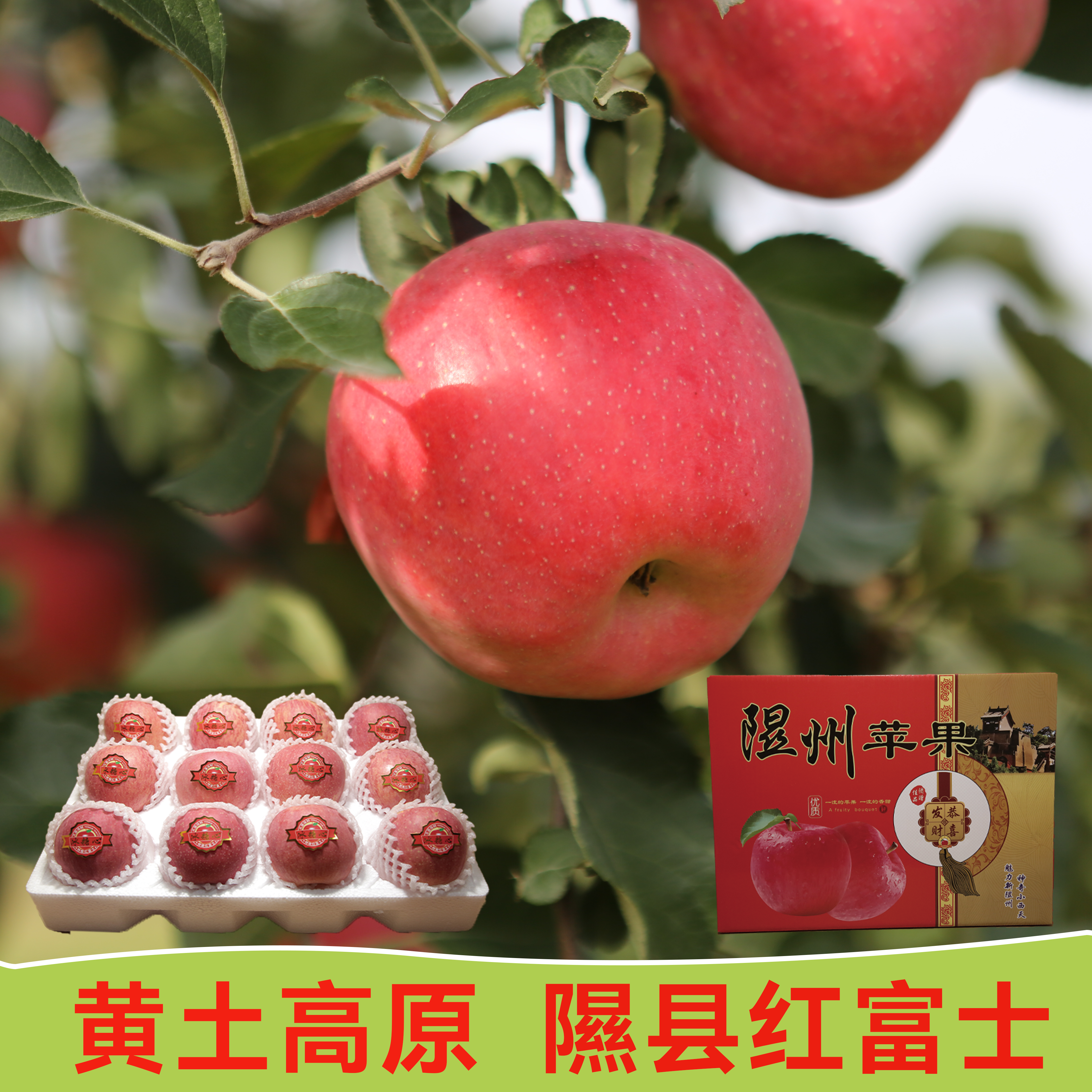 正宗隰县苹果新鲜水果红富士当季整箱礼盒冰糖心脆甜,水产肉类/新鲜蔬果/熟食,苹果,淘宝优惠券,粉丝福利购,淘宝优惠卷