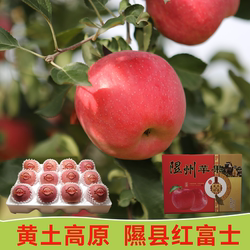 正宗隰县苹果新鲜水果红富士当季整箱礼盒冰糖心脆甜