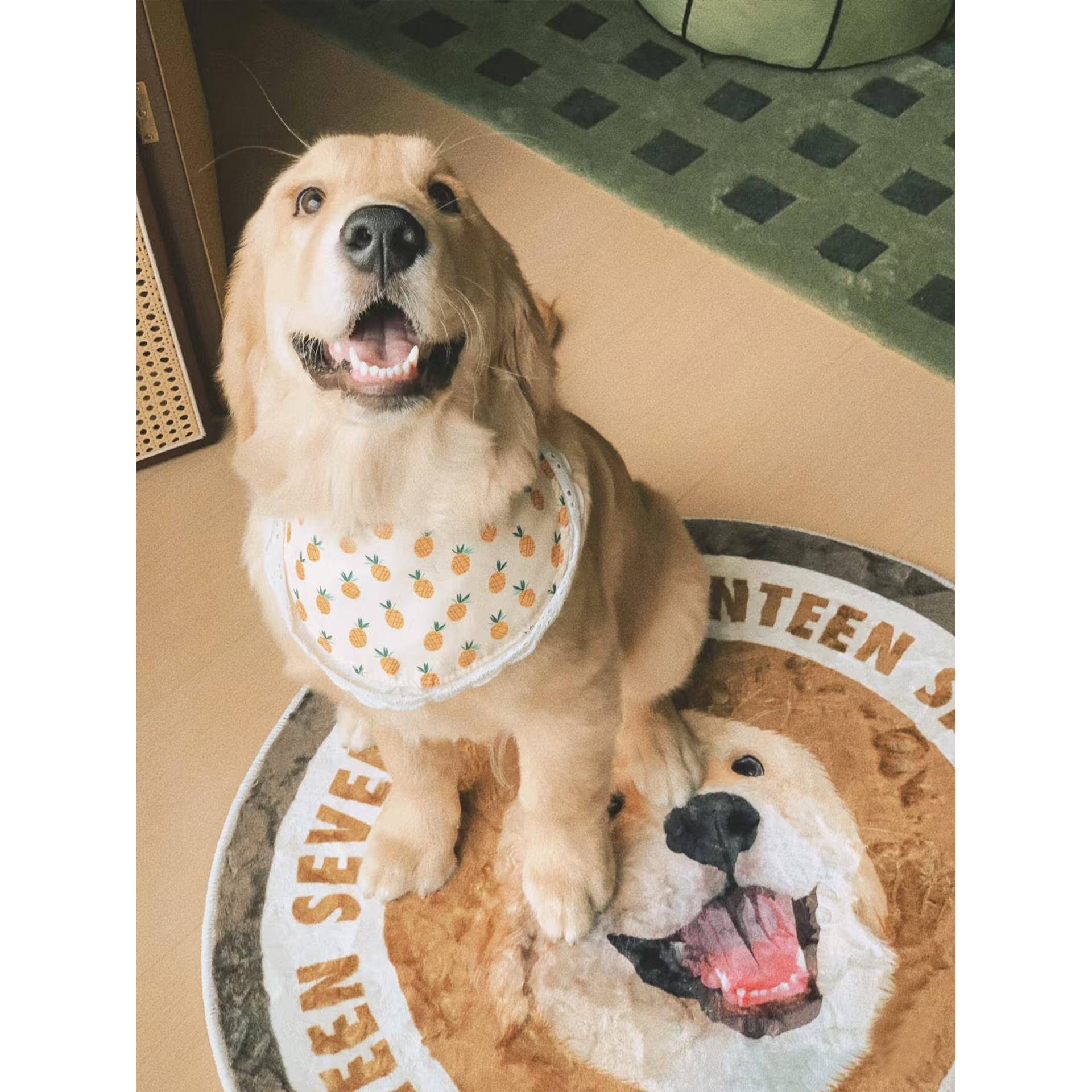 人Q2508060全色国进有种协会