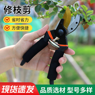 加厚sk5钢修枝剪园艺苗圃果枝省力剪粗枝园林跨境果树剪