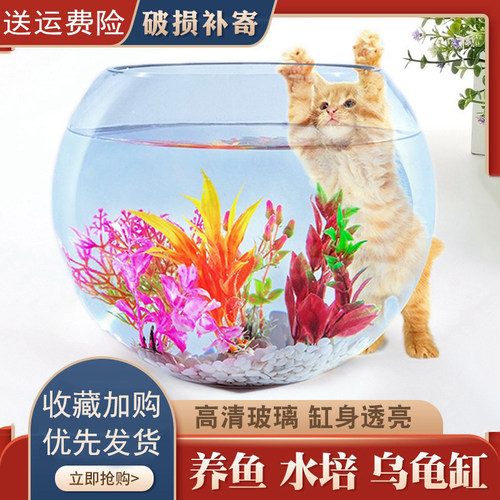 玻璃鱼缸桌面家用迷你办公室圆形