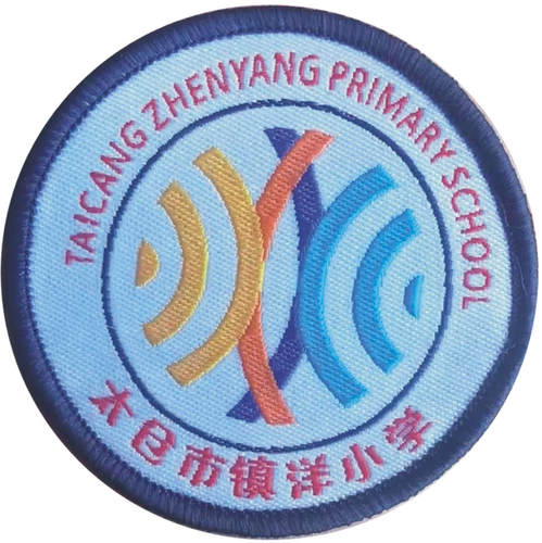 太仓镇洋小学校服运动服T恤