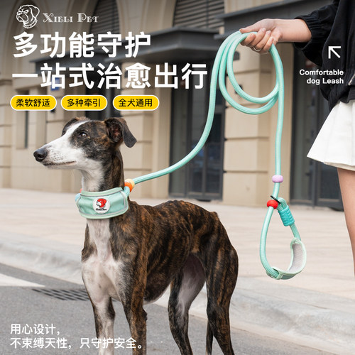 一体式P链狗狗牵引绳 加粗耐磨狗链中大型犬柯基金毛外出狗绳子