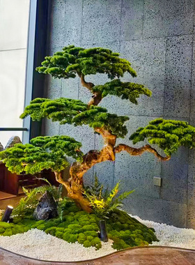 真迎客松树新中式大型室内外装饰橱窗绿植造景观假树摆件罗汉松