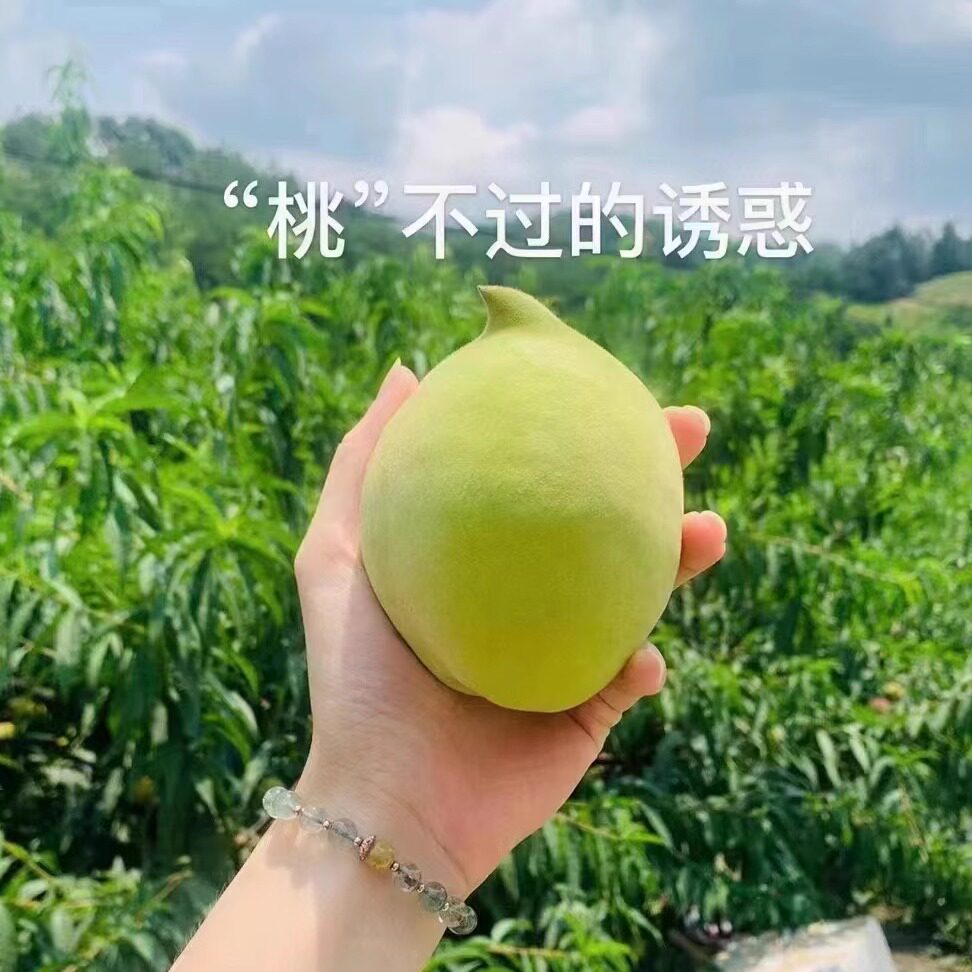 粤北连州特产鹰嘴新鲜水果广东