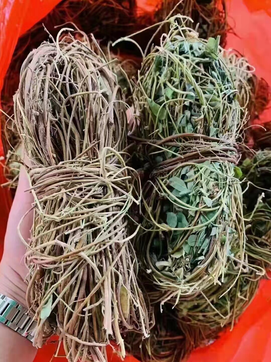 野生有叶鸡骨草无硫新鲜晒干中草药煲汤料500g