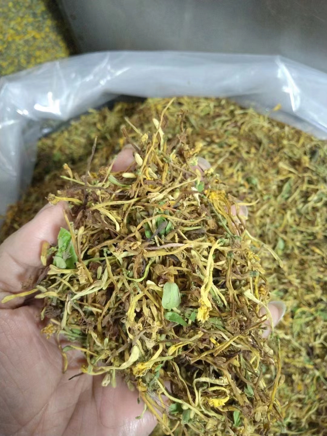 连州特产 野生金银花 宝宝洗澡泡澡天然金银花茶清热生晒金银花干