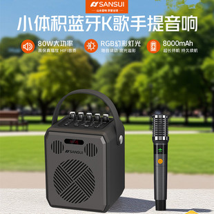 山水G008迷你小音响户外家用广场舞唱歌电吹管手提蓝牙音箱低音炮