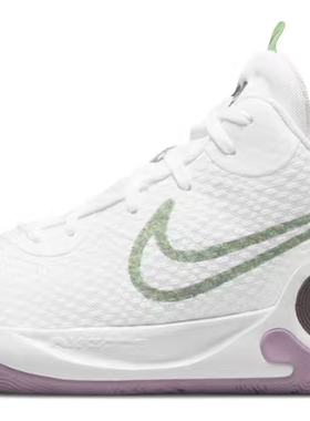 Nike KD Trey 5 IX EP白紫 国内版 男女同款#送礼推荐 DJ6922-100