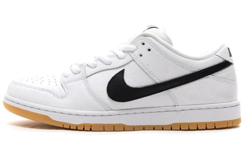 Nike Dunk SB pro iso 