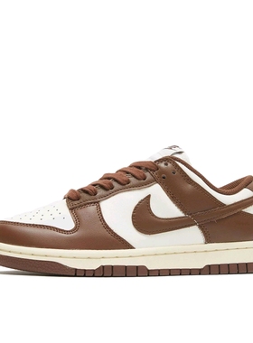 Nike Dunk quotSurfaces In Brown And Sailquot DD1503-124传奇