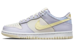 Nike Dunk SE 