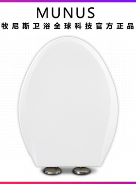 加厚缓降座便盖 马桶盖适配TOTO CSW CW718 739 768 719 B GB RB