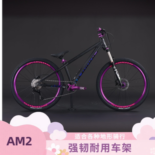 哈曼兄弟AM2氣叉版 減震防摔 鋁合金油剎全地形青少年動(dòng)作車新款