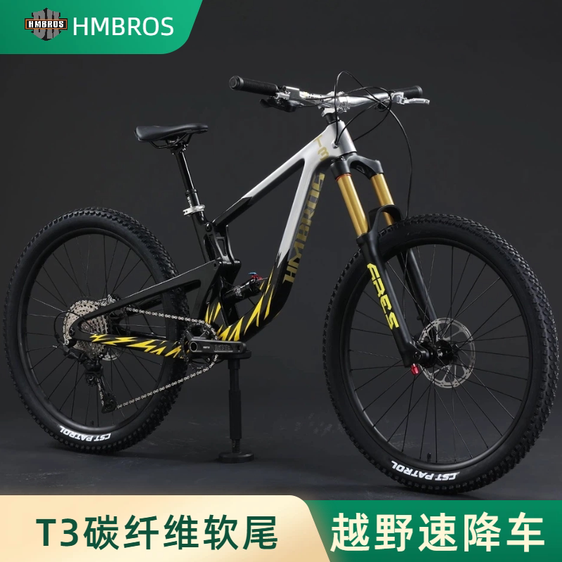 哈曼兄弟T3碳纤维软尾山地车图片