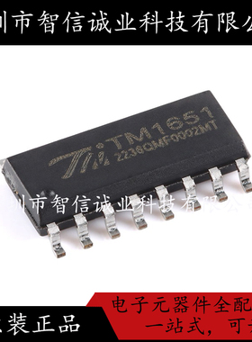 原装正品 TM1651(TA2007) TM1651 SOP-16 待修