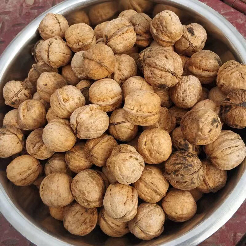 自家硬皮核桃 油性很大 肉厚 口口留香4斤半,零食/坚果/特产,纸皮/薄皮核桃,淘宝优惠券,粉丝福利购,淘宝优惠卷