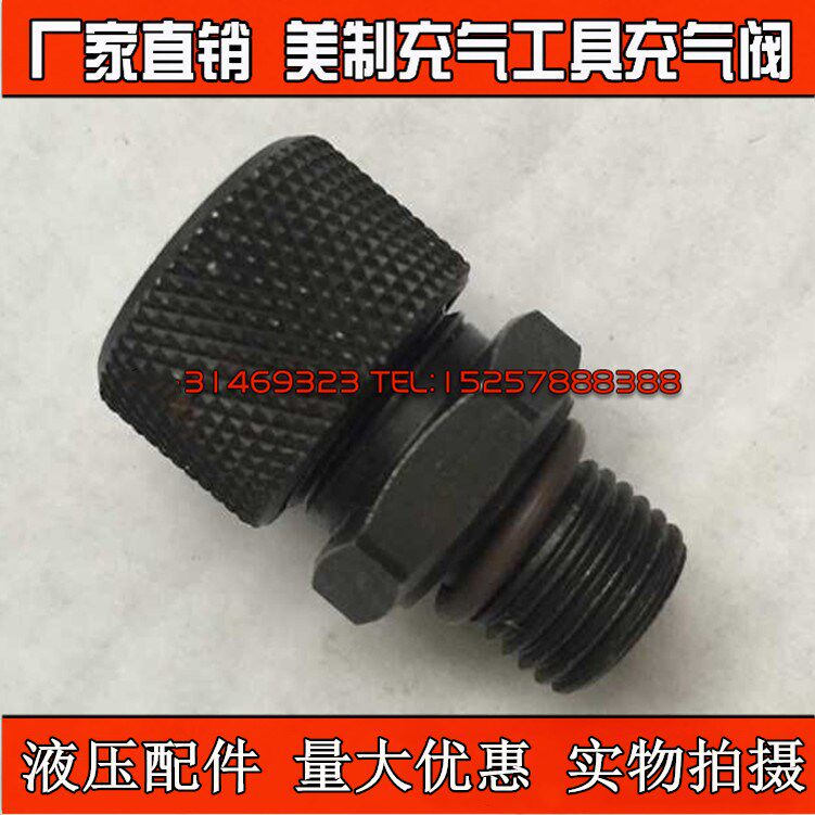 美标/欧标蓄能器充气阀 氮气单向阀国标充气工具QXF-5充气嘴接头