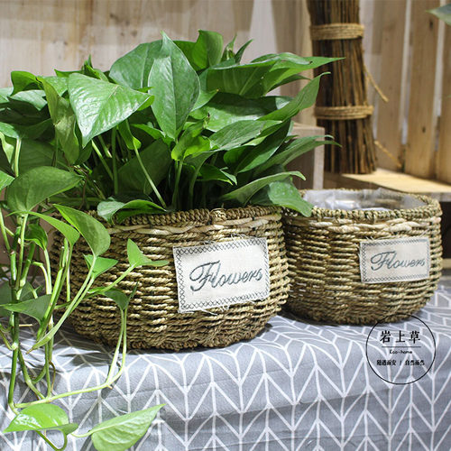 田园藤编草编竹编绿植绿萝多肉小