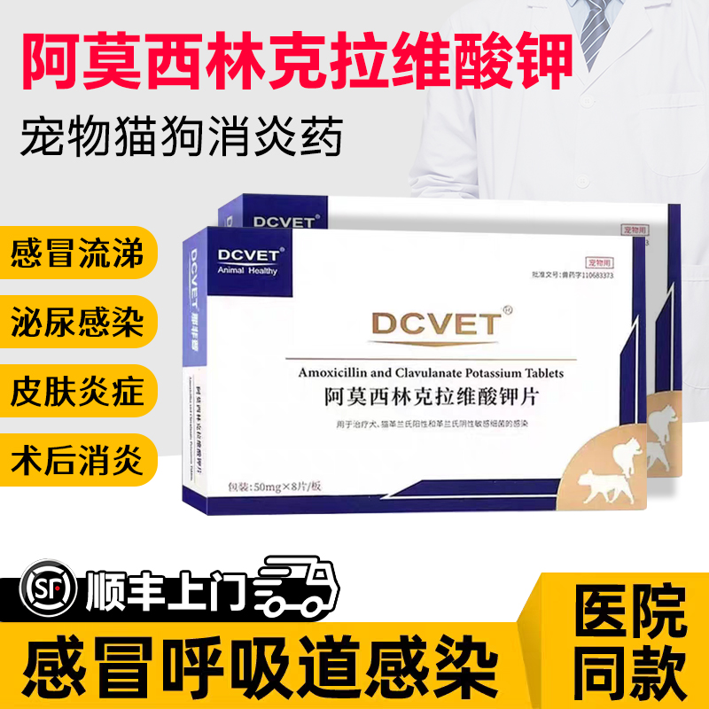 速诺消炎片感冒药宠物狗狗猫鼻支