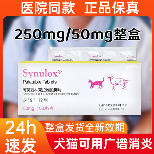 进口速诺阿莫西林宠物消炎药