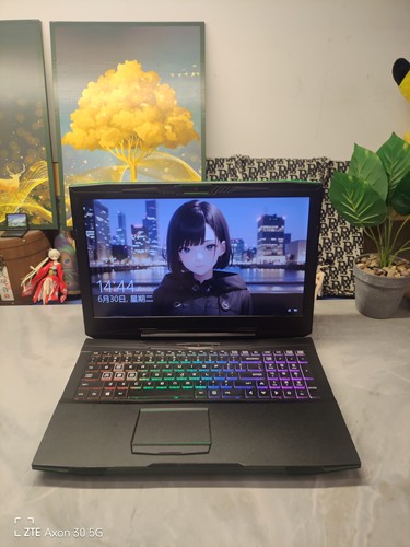 二手神舟GI5CN54游戏本 15.5寸大屏 i7六核GTX1050Ti 4G独显