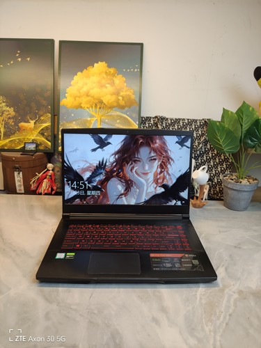 二手微星GF63Thin 9SC游戏本 15.5寸屏9代i7六核GTX1650 512G固态