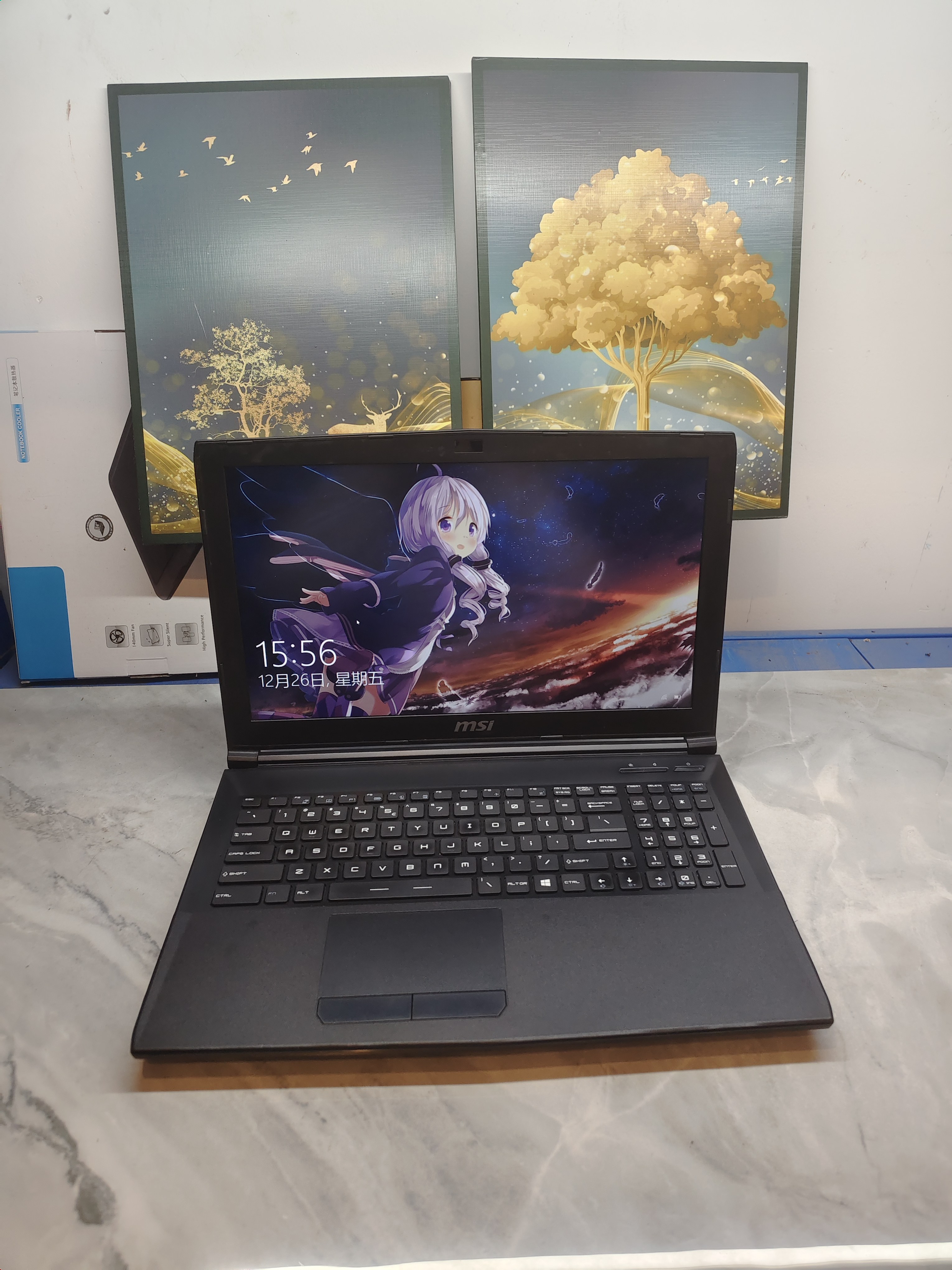 微星15寸游戏本笔记本电脑 六代i5四核 2G独显 英雄联盟 原