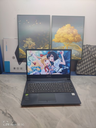 二手神舟游戏本 15.5寸大屏 10代i5四核GTX1650 4G独显打瓦永劫