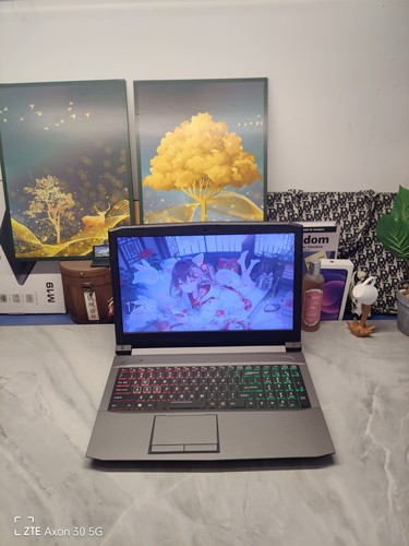 二手机械师游戏本 15.5寸大屏 7代i7GTX1050 2G独显 512G固态硬盘