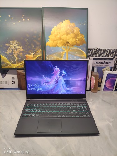 二手神舟Z7M‑KP5(7)GZ游戏本 15.5寸大屏i7六核GTX1050Ti 4G独显