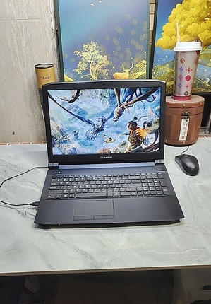 机械师游戏本 4G独显 腾讯全家桶 办公娱乐作图 追剧 15.6寸大屏