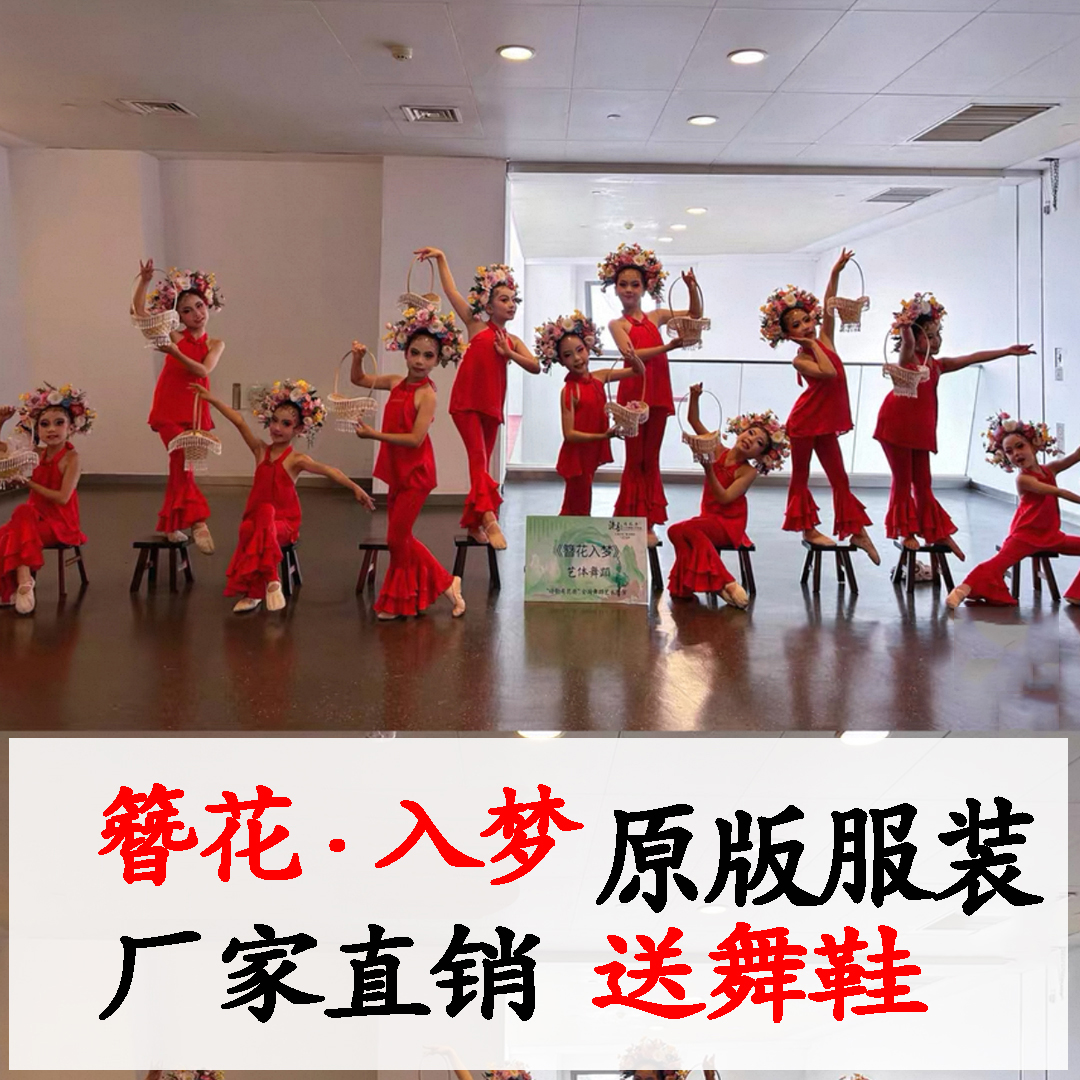 2025新款少儿舞蹈表演服女童群舞舞蹈服古典簪花入梦儿童演出服