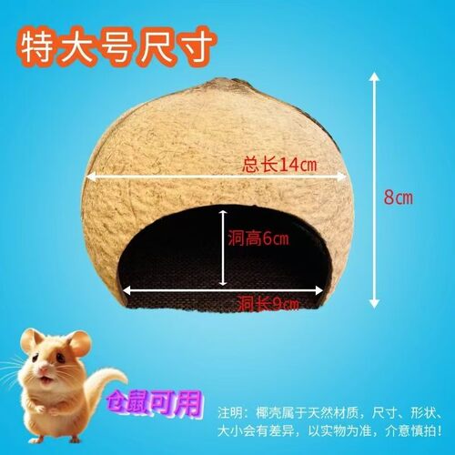 爬宠躲避屋椰壳躲避洞穴天然椰子壳制品蜘蛛蝎子乌龟冬眠躲避洞穴