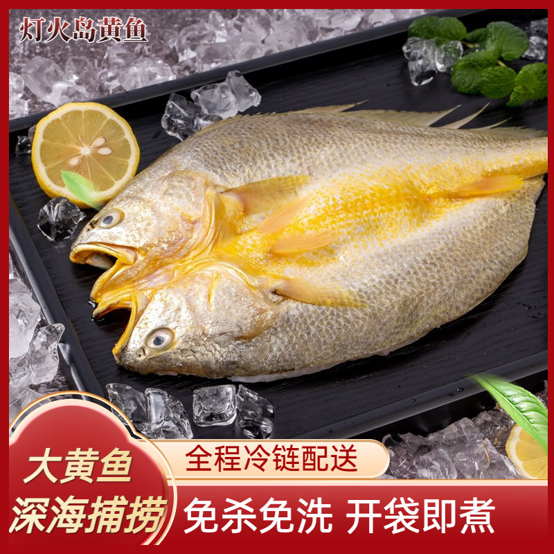 灯火岛三去黄鱼鲞活鱼现杀